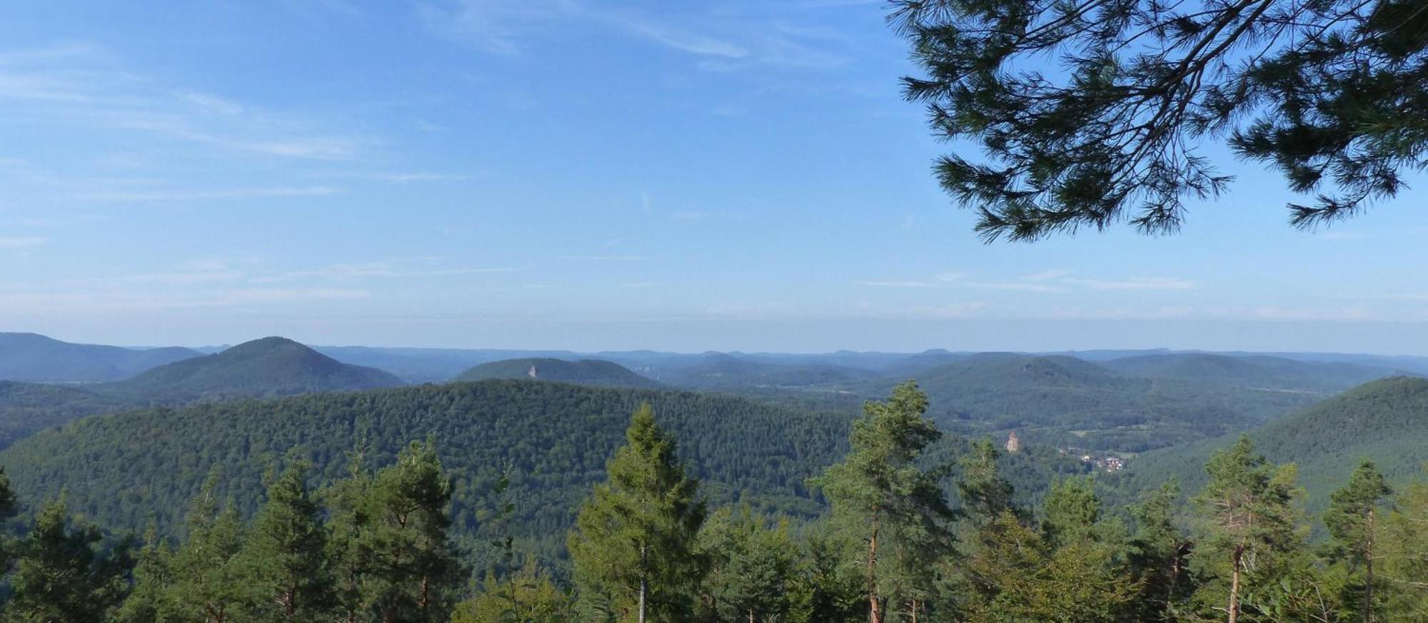 Ferienwohnung "Monte Noble" Suedpfalz Erlenbach  ภายนอก รูปภาพ