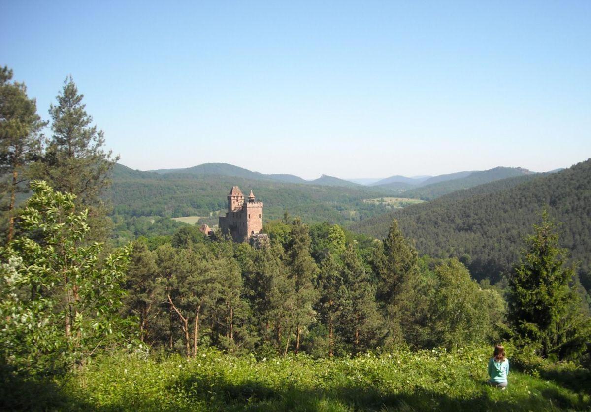 Ferienwohnung "Monte Noble" Suedpfalz Erlenbach  ภายนอก รูปภาพ