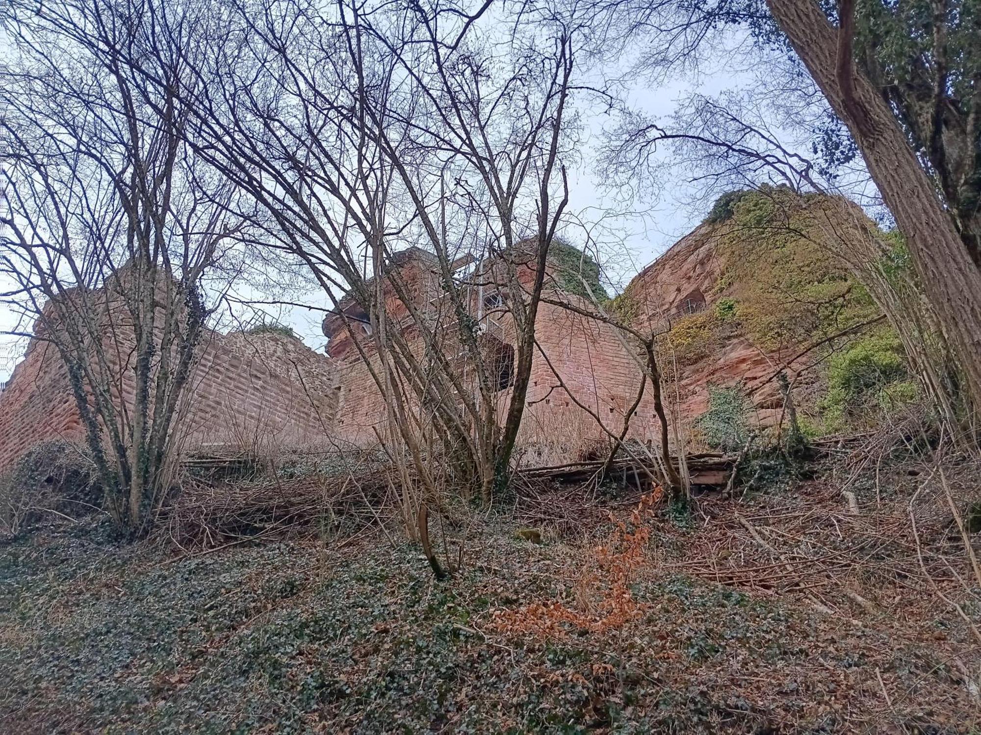 Ferienwohnung "Monte Noble" Suedpfalz Erlenbach  ภายนอก รูปภาพ